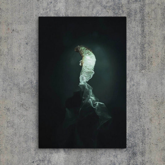 The Dim Light of False Hope Canvas - Pale Blood Store