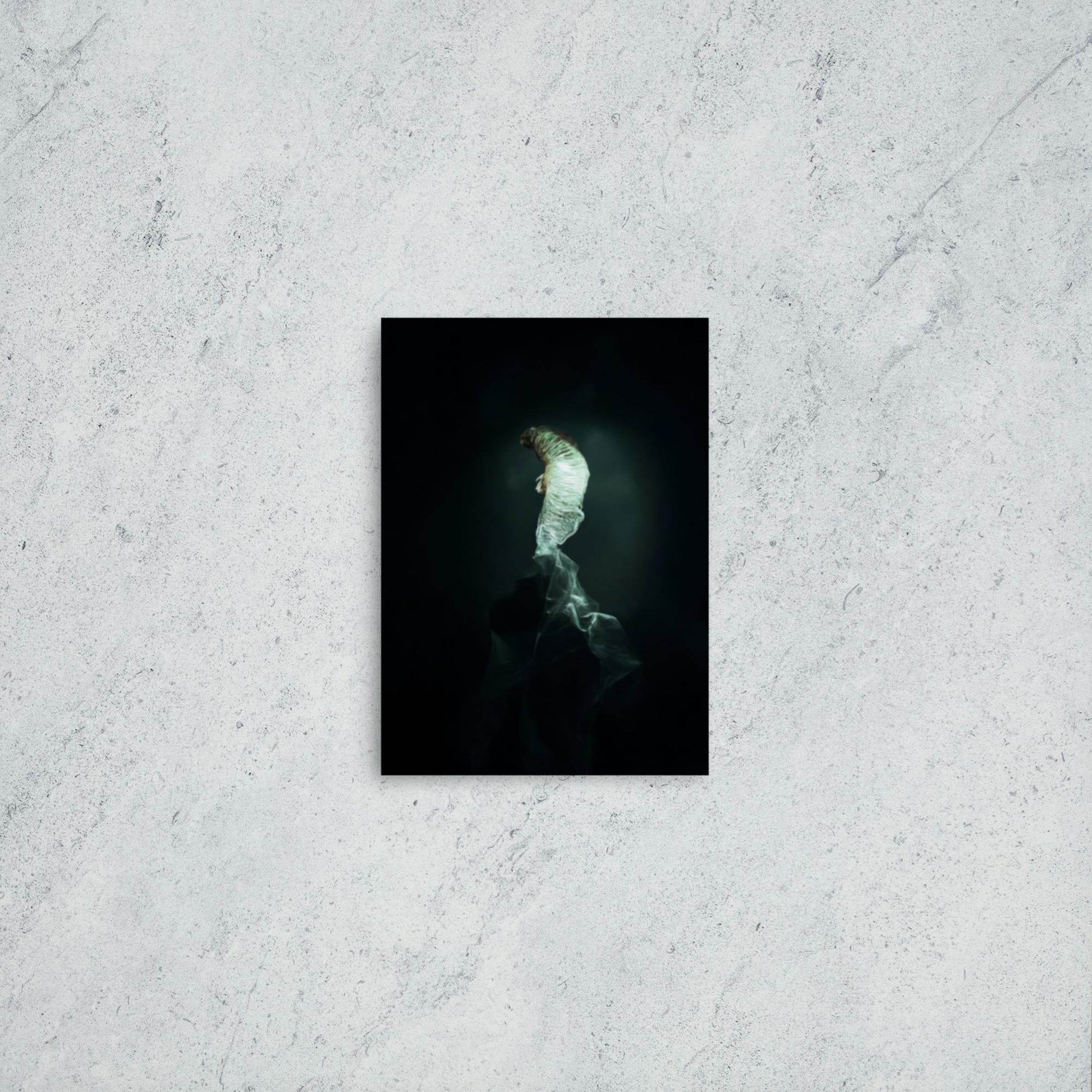 The Dim Light of False Hope Poster - Pale Blood Store