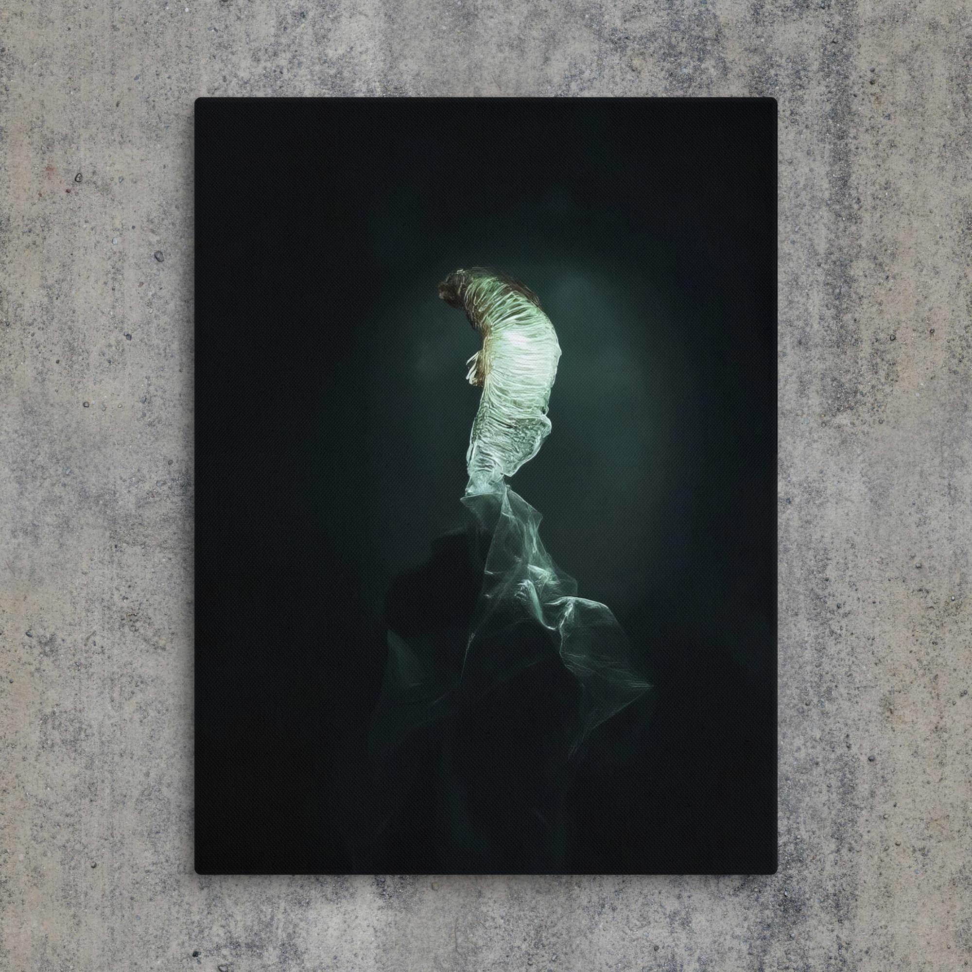 The Dim Light of False Hope Canvas - Pale Blood Store