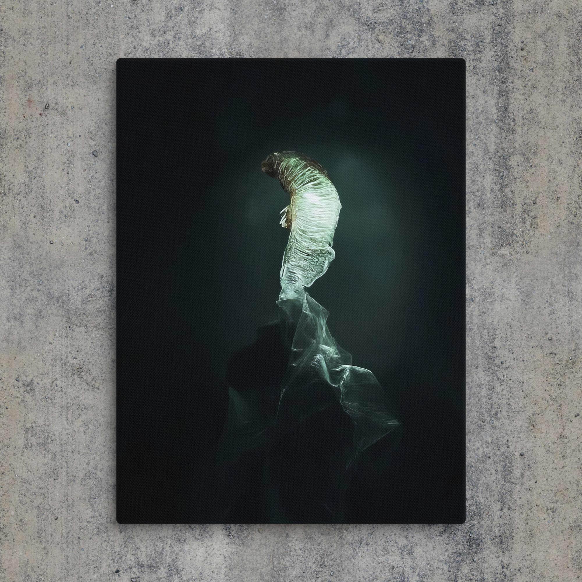 The Dim Light of False Hope Canvas - Pale Blood Store