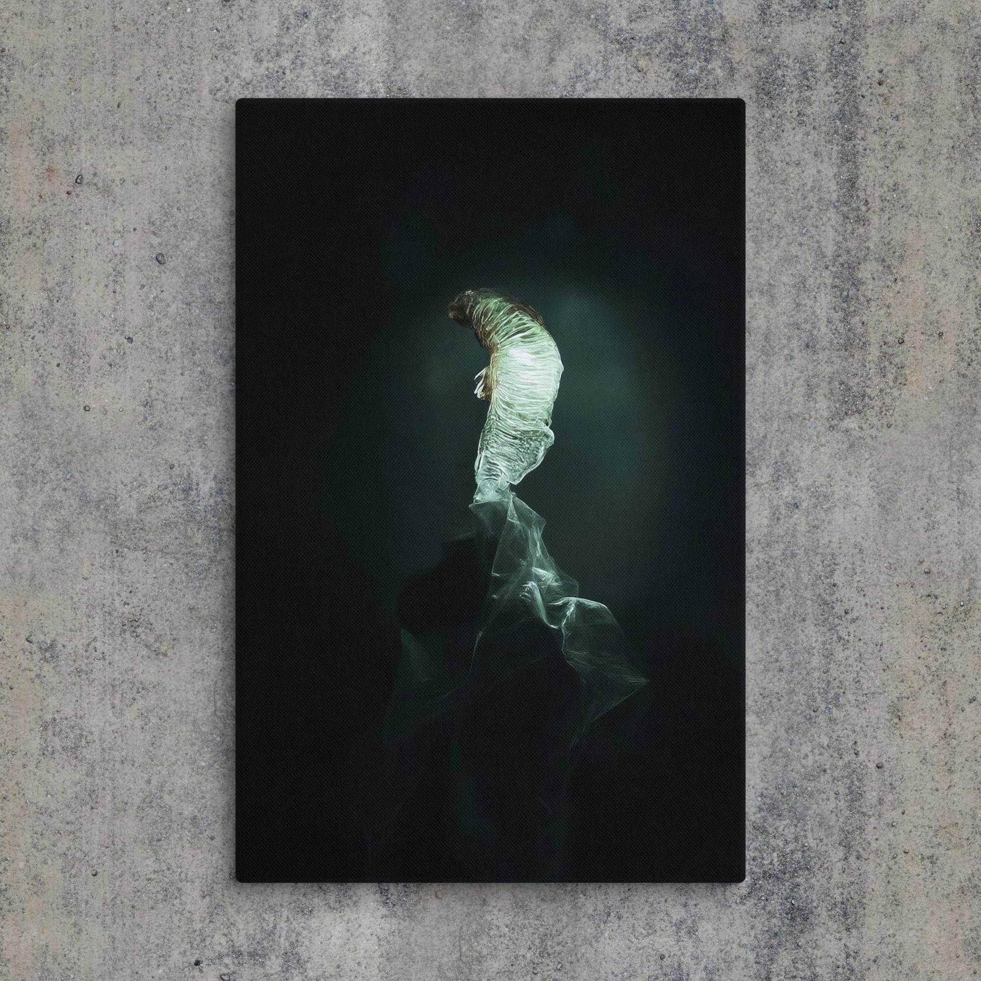 The Dim Light of False Hope Canvas - Pale Blood Store