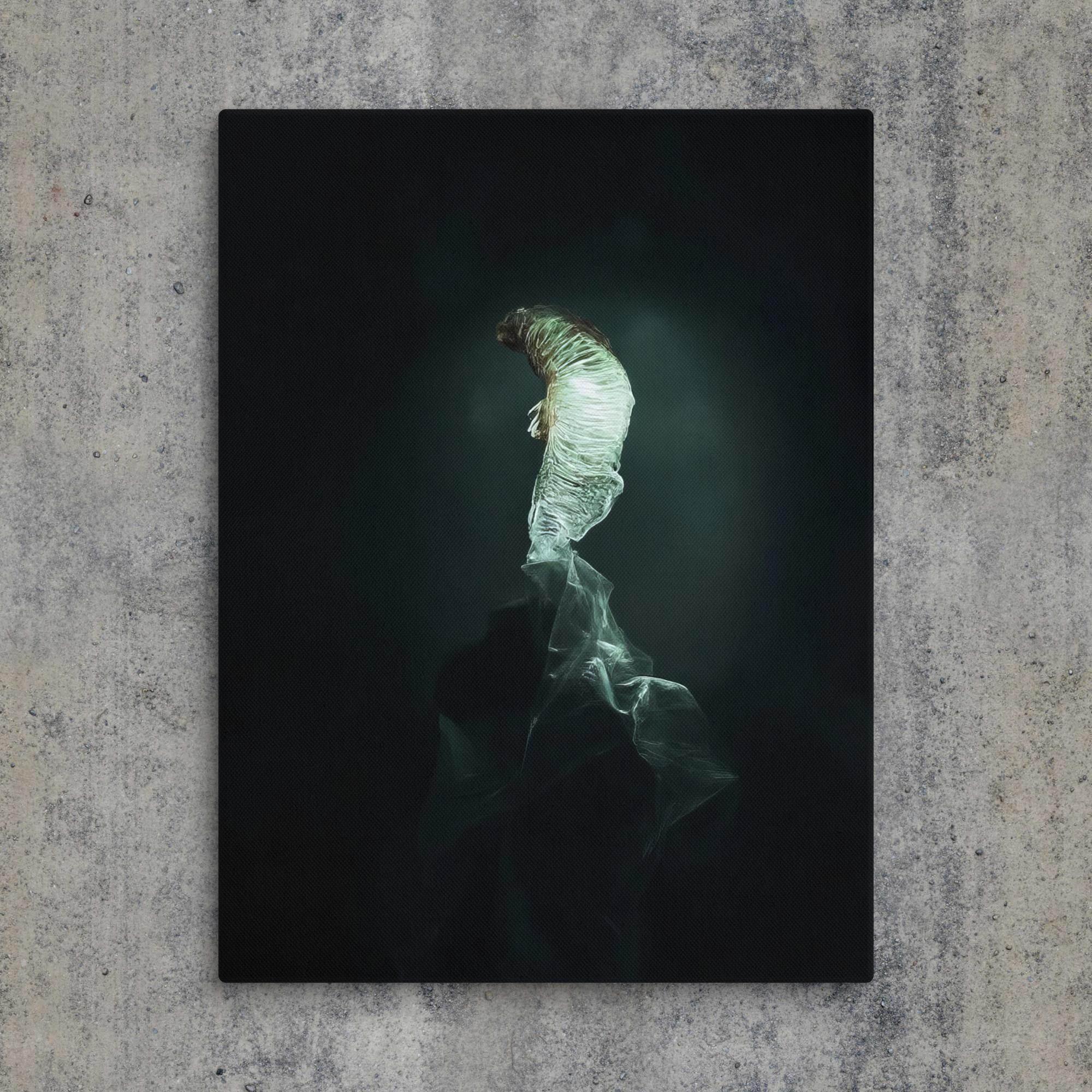 The Dim Light of False Hope Canvas - Pale Blood Store