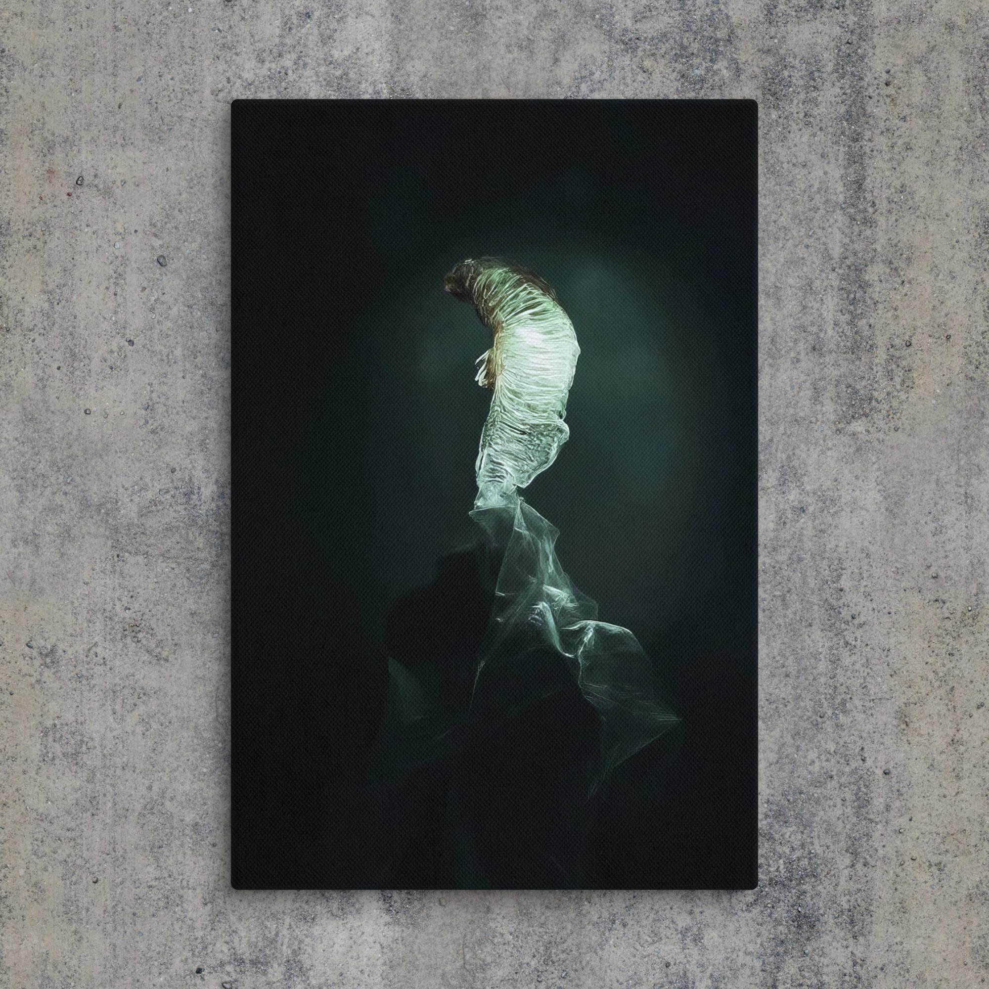 The Dim Light of False Hope Canvas - Pale Blood Store