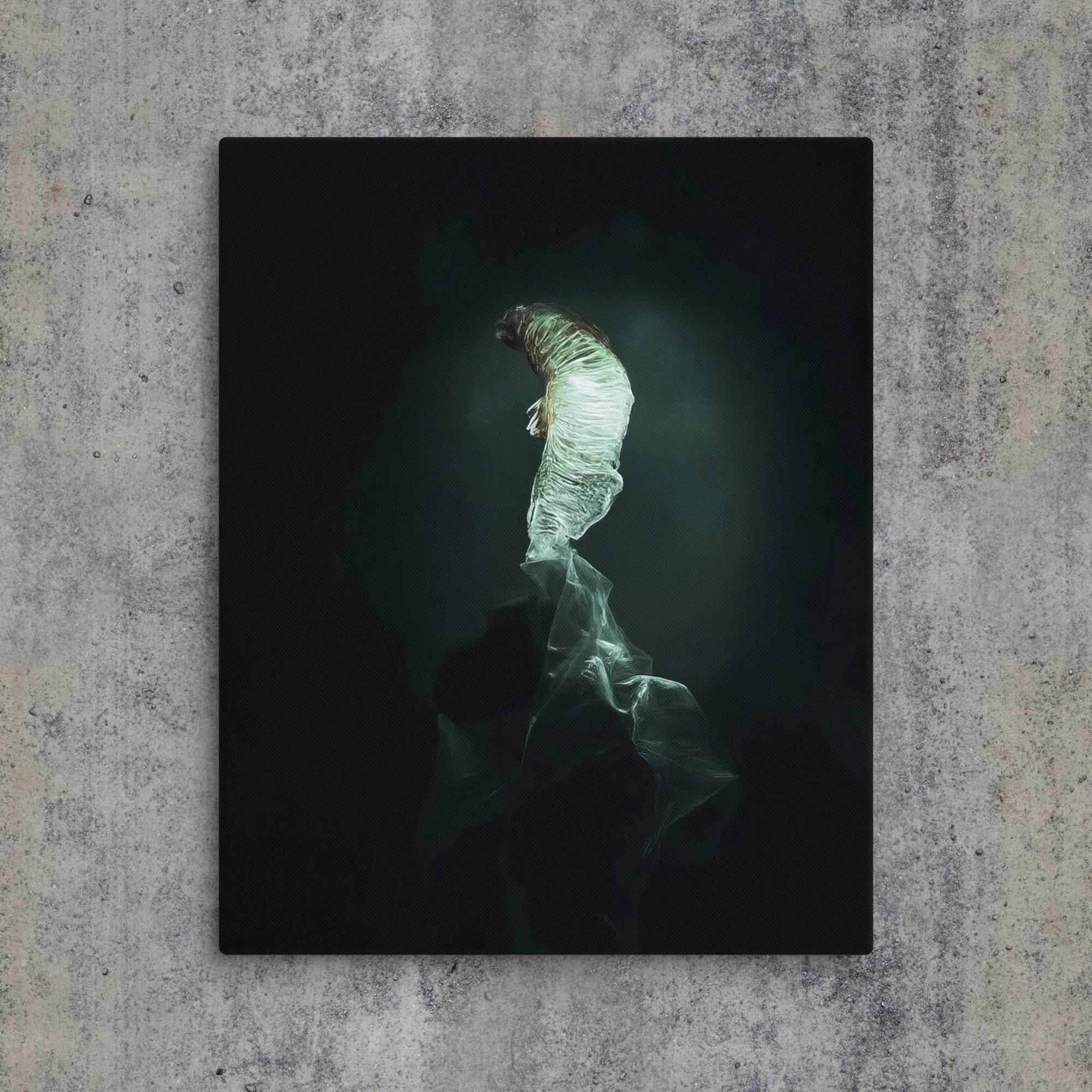 The Dim Light of False Hope Canvas - Pale Blood Store