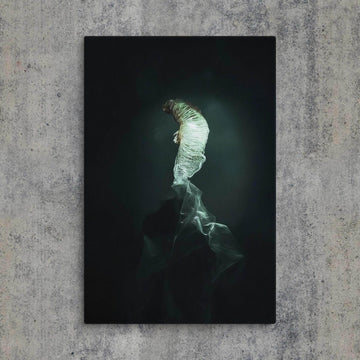 The Dim Light of False Hope Canvas - Pale Blood Store