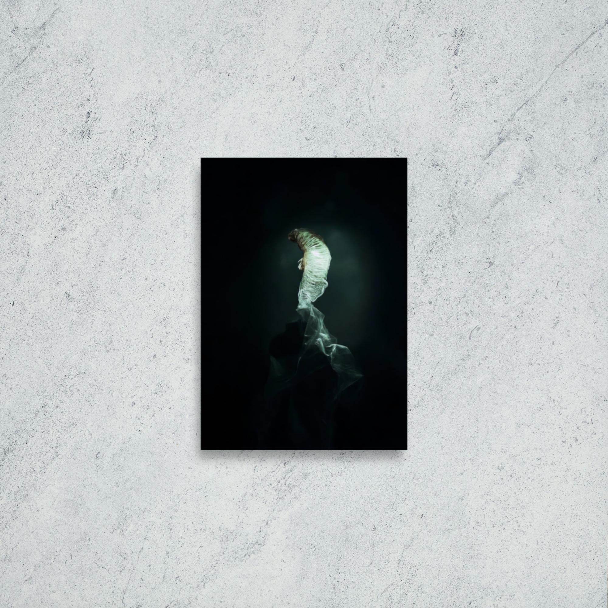 The Dim Light of False Hope Poster - Pale Blood Store