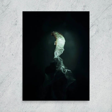 The Dim Light of False Hope Poster - Pale Blood Store