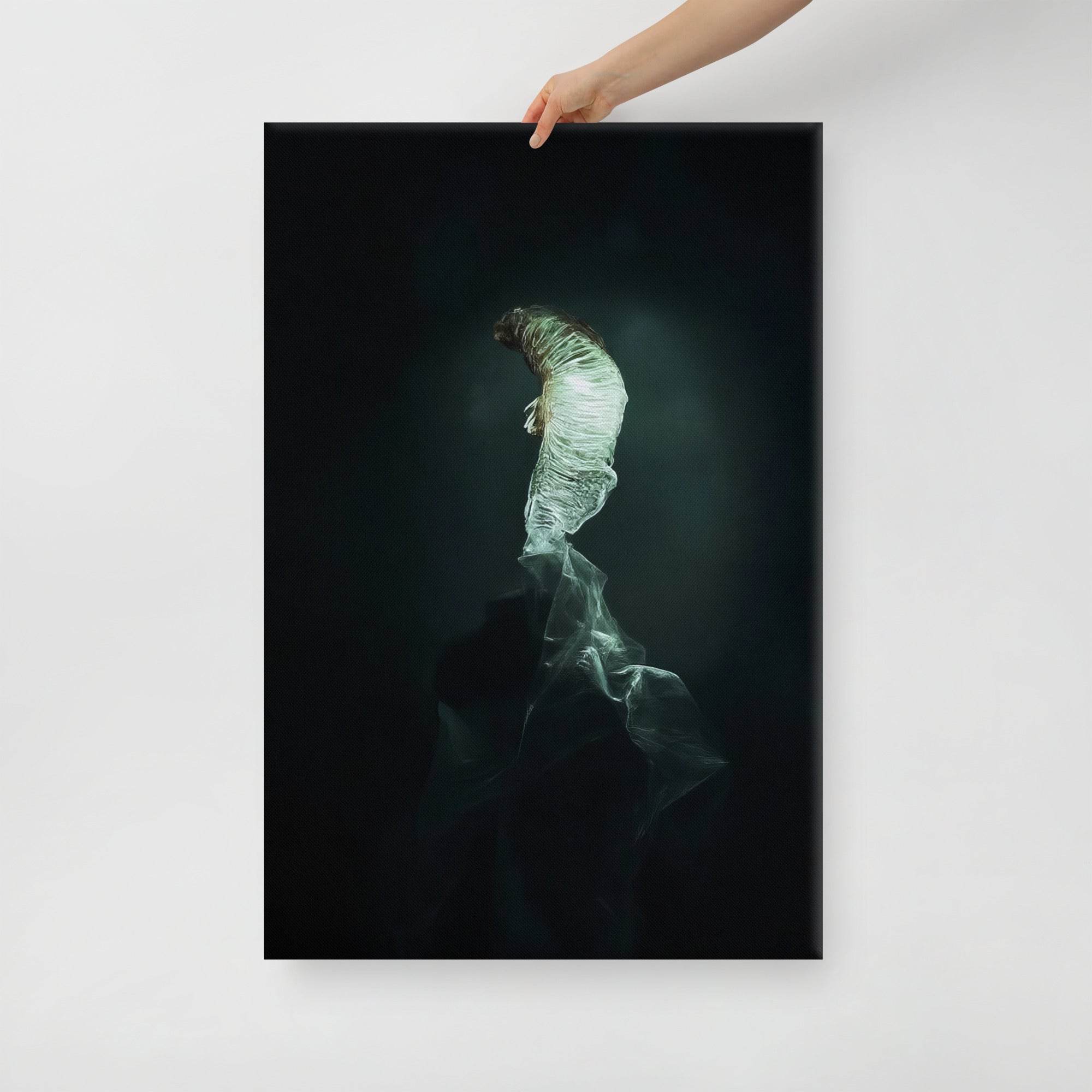 The Dim Light of False Hope Canvas - Pale Blood Store